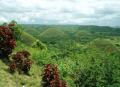 collines de chocolat.jpg
